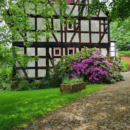 Wolfsmuehle * Neustadt (Hessen)