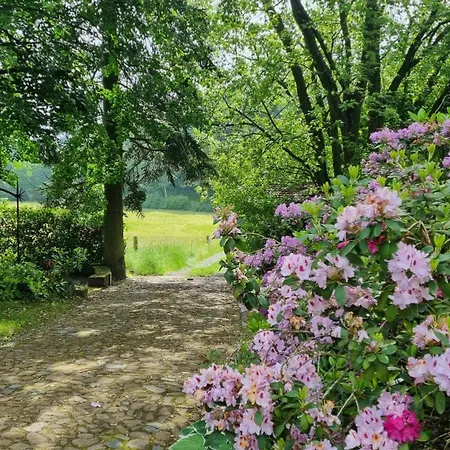 Wolfsmuehle Дом отдыха