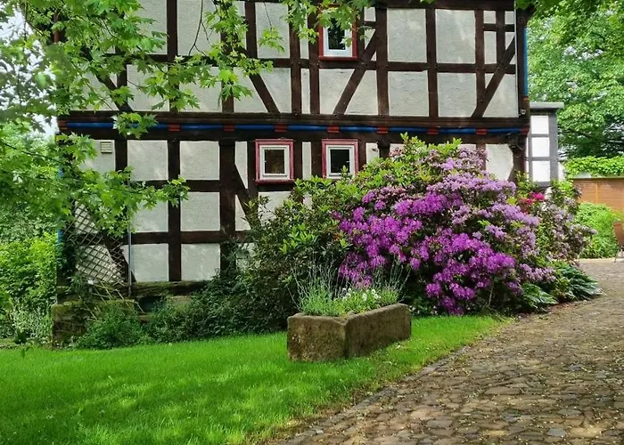 Wolfsmuehle * Neustadt (Hessen)