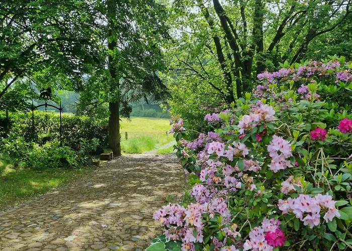 Wolfsmühle Ferienhaus